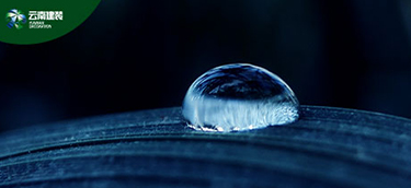 【寒露】月白露初團，滴瀝清光滿